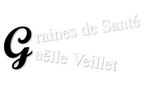 GAELLE VEILLET-Graines de SENS - EI