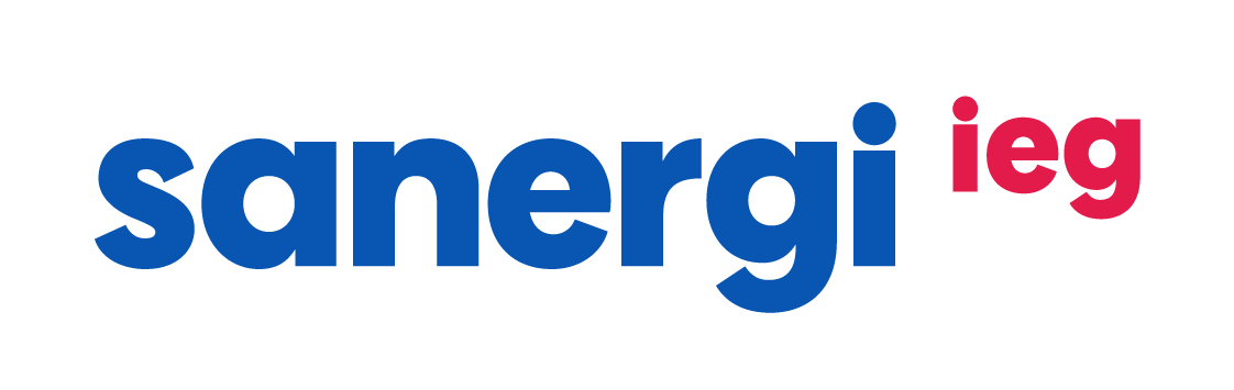 Sanergi IEG