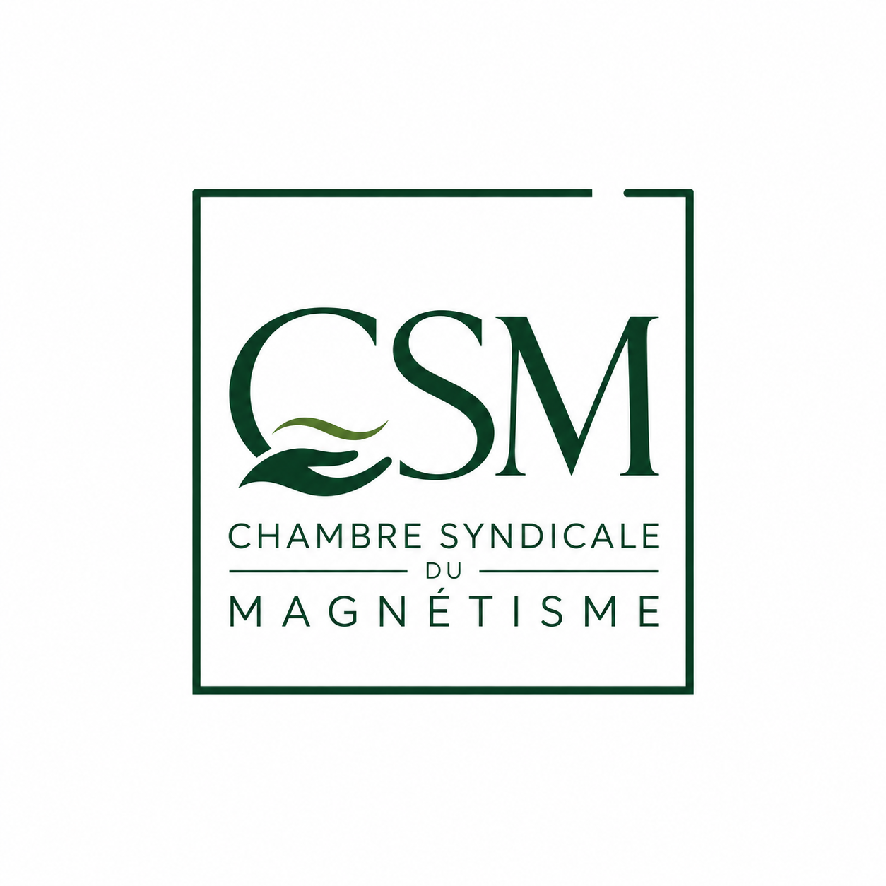 Chambre Syndicale du Magnétisme