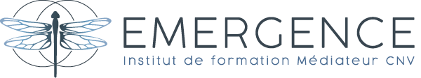 Institut Emergence