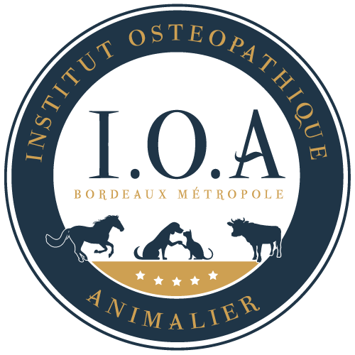 Institut Ostéopathique Animalier