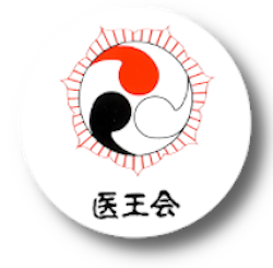 Iokaï Shiatsu France