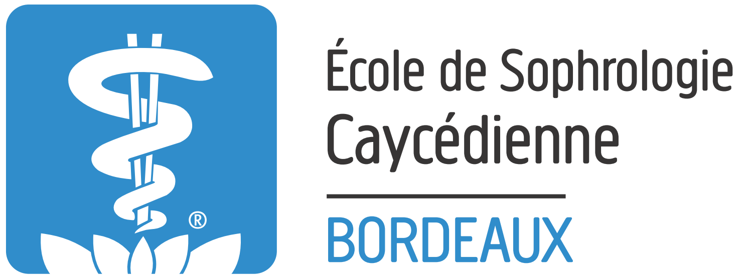 LB Actions Formations et Conseils