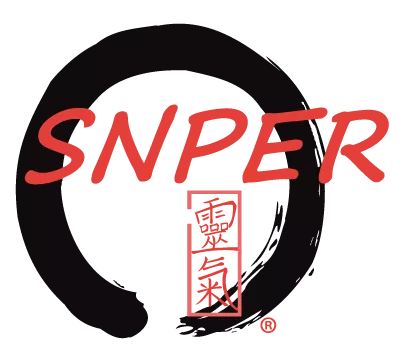 Syndicat National des Praticiens et Enseignants du Reiki